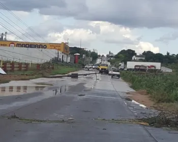 Postes caem e deixam trânsito congestionado na AL-220, em Arapiraca