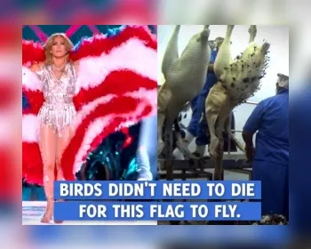 Jennifer Lopez é criticada pelo PETA por bandeira feita de penas