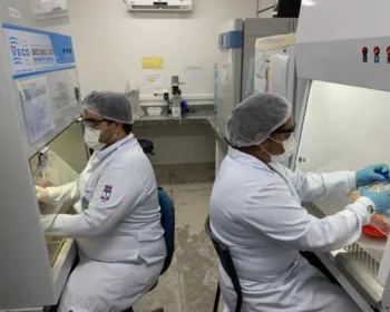 Pesquisadores da Ufal descobrem potencial antiviral contra o vírus Chikungunya