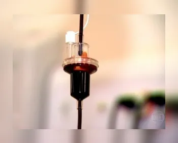 Covid-19: Dois hospitais de SP vão testar plasma de curados em pacientes graves
