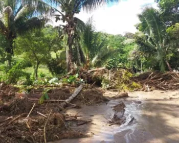 Proprietária de fazenda em Rio Largo denuncia abertura de vala em terreno