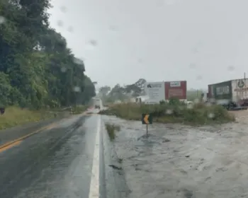 Chuvas derrubam árvore e interditam trecho da BR-101, em Rio Largo