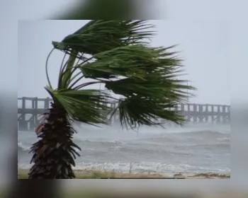 Fenômeno 'brisa marítima' causa ventos mais fortes em Maceió 