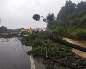 VÍDEOS: Destruição no Sul Ventos de 100 km/h causam mortes e estragos em SC