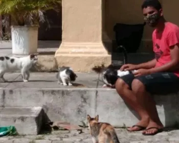 Jovem cria campanha para ajudar gatos que "moram" em cemitério de Maceió