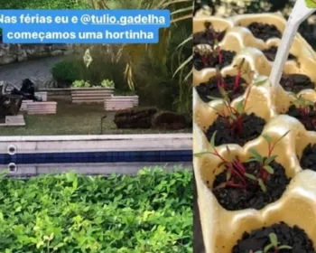 Fátima Bernardes mostra hortinha criada com Túlio Gadêlha: 'Estou amando'