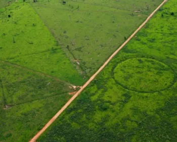 Diplomatas que vão sobrevoar Amazônia com Mourão ouvem ONGs sobre desmatamento