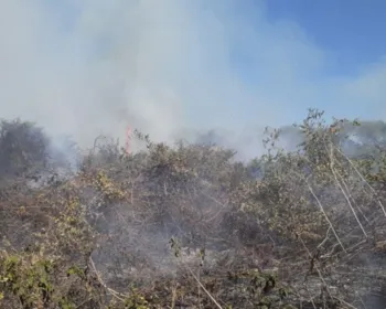 Governador da Bahia decreta situação de emergência em 73 municípios por incêndio