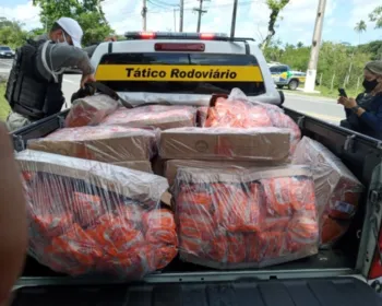 VÍDEO: Carga com mais de 2 toneladas de carne clandestina é apreendida em Satuba