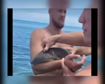 Vídeo: tubarão morde braço de banhista e fica "grudado" após ataque
