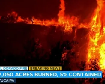 VÍDEO: Chá revelação causa incêndio florestal na Califórnia
