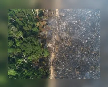Em 13 dias, queimadas na Amazônia já superam total do fogo de outubro de 2019