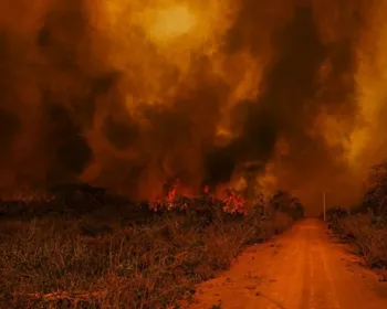 Senado instala comissão para acompanhar ações de combate a incêndios no Pantanal