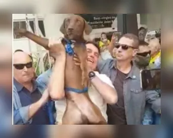 Bolsonaro assina lei que endurece pena por maus-tratos a cães e gatos