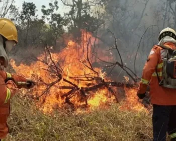 Incêndio atinge área de proteção ambiental do Palácio do Jaburu, em Brasília