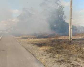 VÍDEO: Fogo atinge área de vegetação às margens da rodovia AL-101 Sul