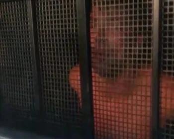 VÍDEO: Homem embriagado é preso após agredir companheira na AL-101