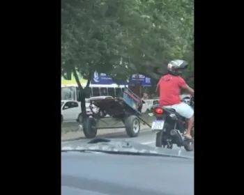 VÍDEO: Cavalo dispara com carroça sem condutor na Durval de Góes Monteiro