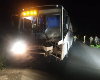 Ônibus do Coruripe colide contra cavalos em trecho que interliga Penedo a Piaçabuçu