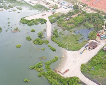 IMA e Ufal divulgam resultados de análises da Lagoa Mundaú na segunda