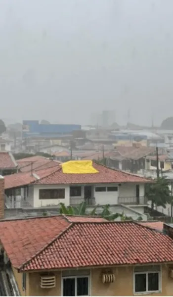 
				
					Vídeo: Chuvas deixam ruas de Maceió e do interior alagadas; alerta é mantido
				
				