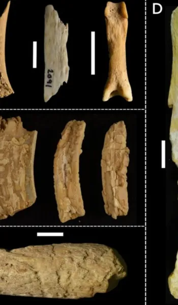 
				
					A macabra pilha de ossos humanos descoberta em caverna na Arábia Saudita
				
				