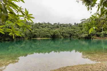 
			
				Fábrica Carmen: Prefeitura quer transformar ruínas em destino turístico e opção de lazer; veja fotos!
			
			