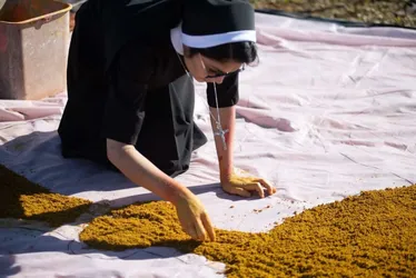 
			
				Missa de Corpus Christi e procissão com velas emocionam fiéis
			
			