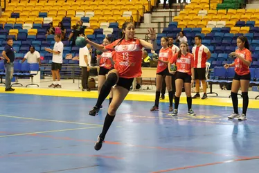 
			
				Atletas alagoanas irão disputar Sul-Americano de handebol
			
			