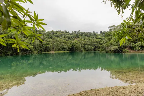 
				Fábrica Carmen: Prefeitura quer transformar ruínas em destino turístico e opção de lazer; veja fotos!
			
			