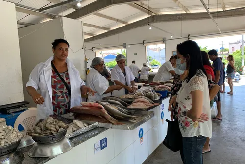 
				Semana Santa: Valor do pescado varia de R$ 25 a R$ 70 o quilo no Jaraguá
			
			