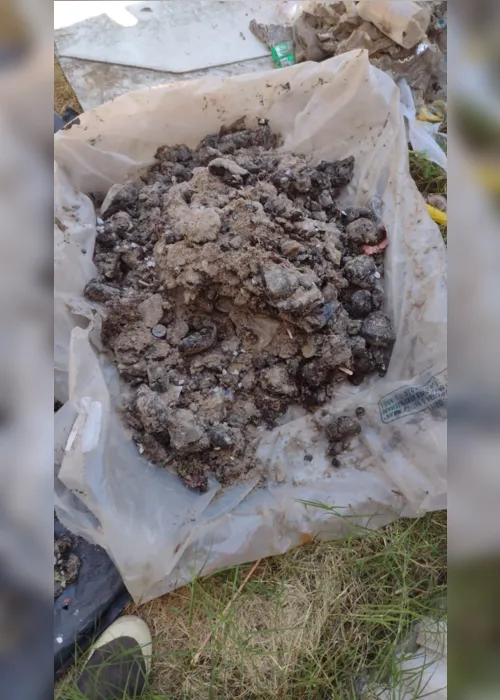 
			
				Vídeo mostra o momento em que fragmentos de óleo chegam ao litoral de Alagoas
			
			