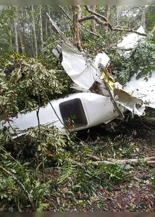 
			
				Quatro pessoas morrem em queda de avião em região de mata em MT
			
			