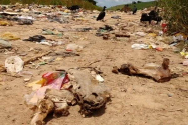 
				
					Lixo hospitalar ameaça equilíbrio ambiental e expõe catadores à contaminação
				
				