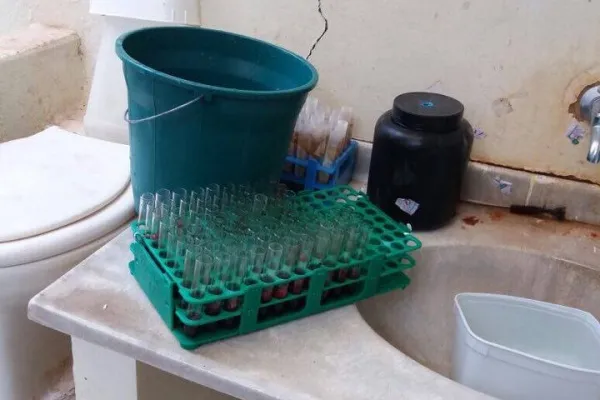 
				
					Fiscais interditam laboratório que descartava sangue coletado em vaso sanitário
				
				