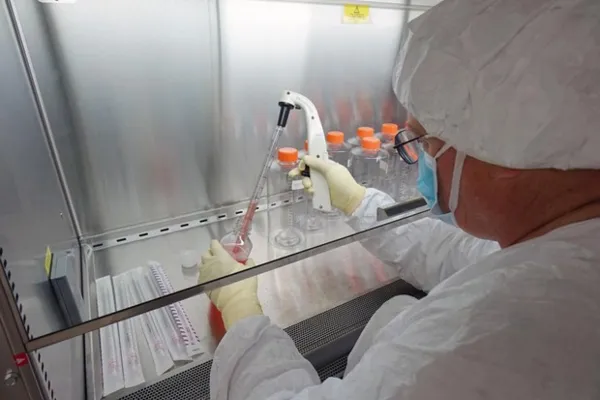 
				
					Proteína-chave pode acelerar produção de vacina contra zika
				
				