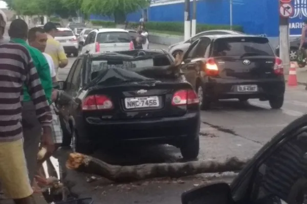 
				
					Galho de árvore despenca sobre veículo estacionado no bairro do Farol
				
				
