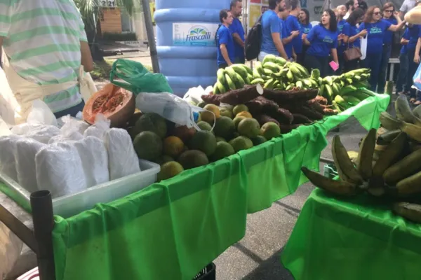 
				
					Pequenos agricultores participam de feira orgânica na Ponta Verde
				
				