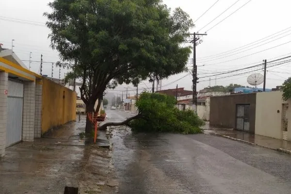 
				
					Chuva e ventos fortes derrubam árvore e avenida principal do Poço é interditada
				
				