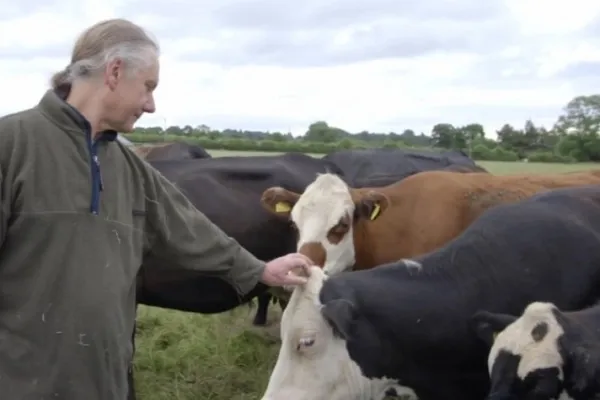 
				
					O criador de gado vegetariano que decidiu salvar suas vacas do abatedouro
				
				