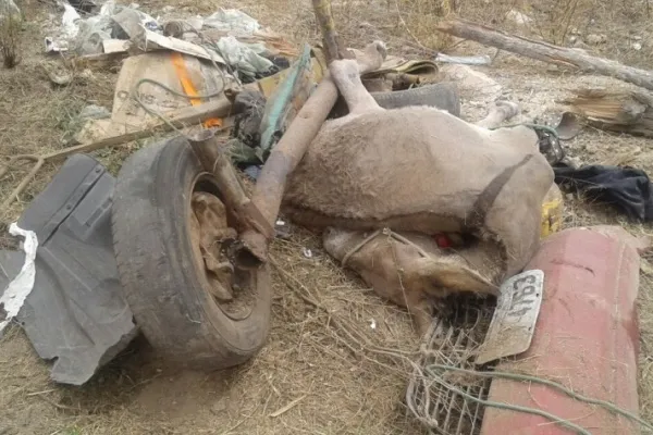 
				
					Carroceira morre esmagada por caminhonete após colisão em Delmiro Gouveia
				
				