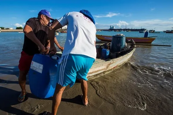 
				
					Pescador: a difícil missão de viver entre a terra e o mar
				
				