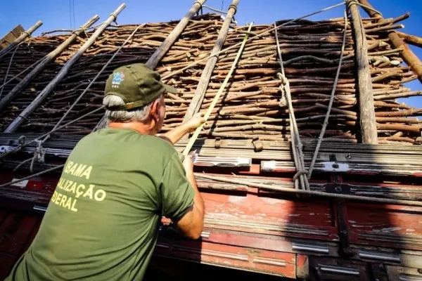 
				
					FPI do São Francisco apreende madeira que estava sendo retirada de área de APP
				
				