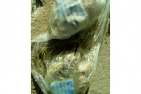 
				
					Banhista encontra restos cirúrgicos flutuando na praia de Ponta Verde
				
				