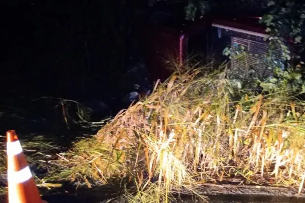 
				
					Veículo capota e condutor morre na AL-430, em São Luiz do Quitunde
				
				