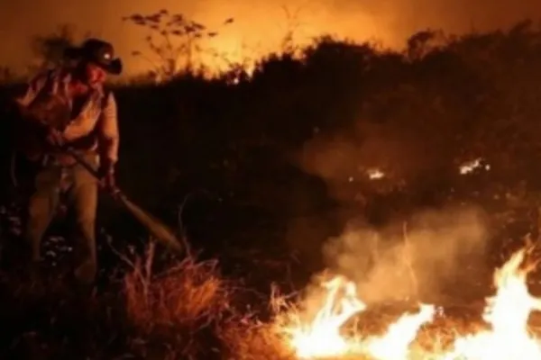 
				
					Onça-pintada morta e fogo "subterrâneo": os incêndios ainda ameaçam o Pantanal
				
				