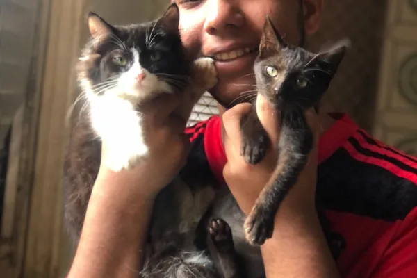 
				
					Em dificuldades financeiras, abrigo de gatos em Maceió pede ajuda para não fechar
				
				