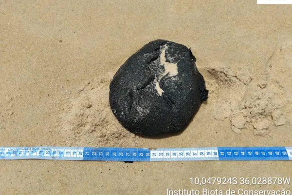
				
					Novas manchas de óleo são encontradas em praia de Jequiá da Praia
				
				