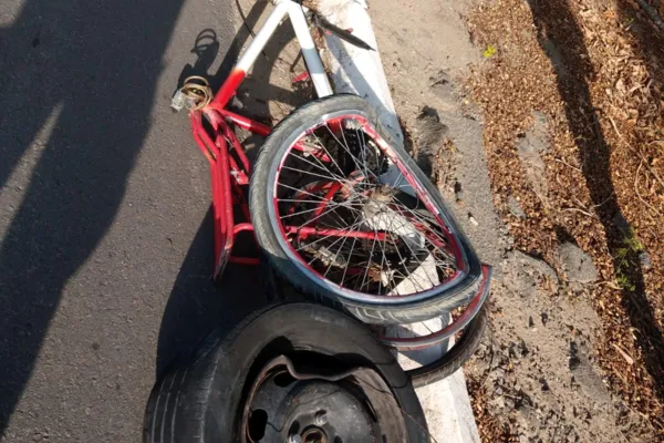 
				
					Acidente entre carros e bicicleta deixa ciclista morto no Pilar
				
				