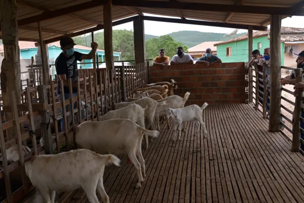 
				
					Girau do Ponciano expande agronegócio e luta por Escola Agrotécnica
				
				
